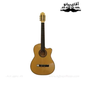 گیتار کلاسیک پیکاپ دار تاپ سان Tapesun 619