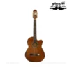 گیتار کلاسیک پیکاپ دار تاپ سان Tapesun 610CE