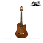 گیتار کلاسیک پیکاپ دار تاپ سان Tapesun 610CE