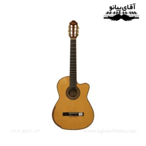 گیتار کلاسیک تاپ سان Tapesun 612